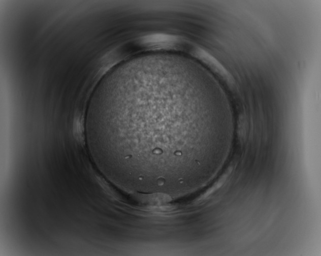X0000092221321200709211000