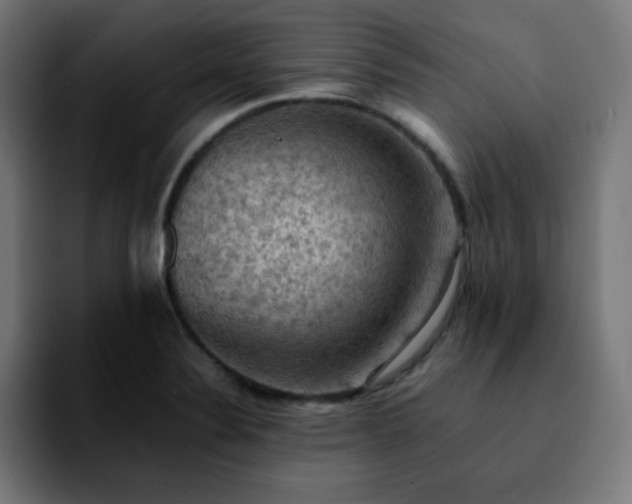 X0000092221324200709211001
