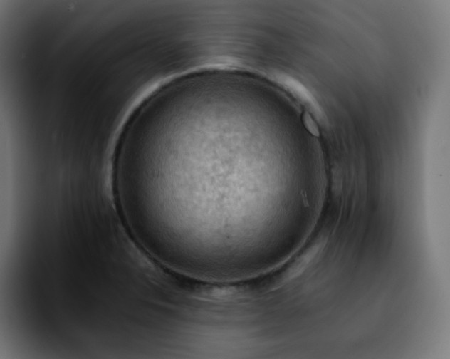 X0000092221326200709211001