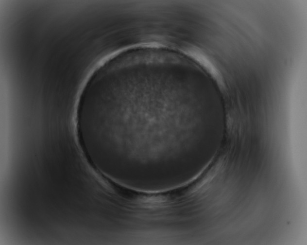X0000092221327200709211001