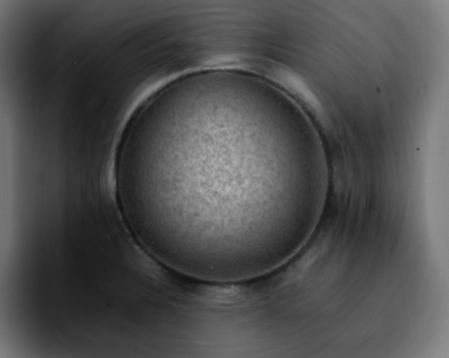 X0000092221328200709211001