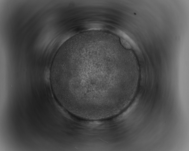 X0000092221329200709211001