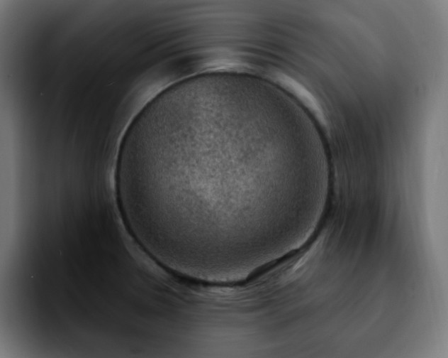 X0000092221330200709211001