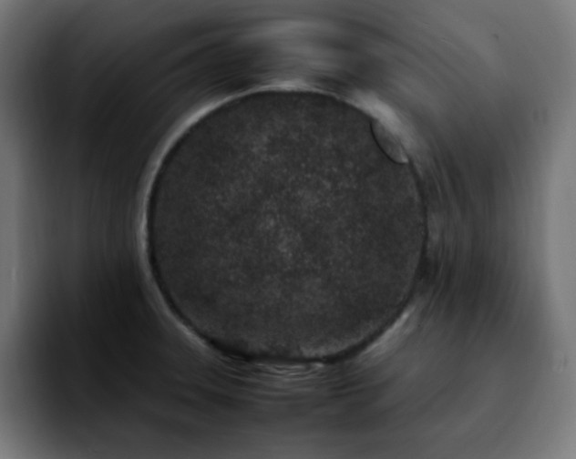 X0000092221331200709211001