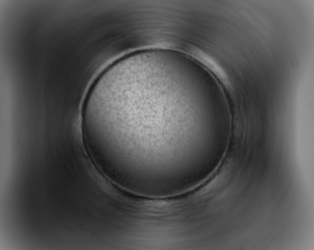 X0000092221332200709211001