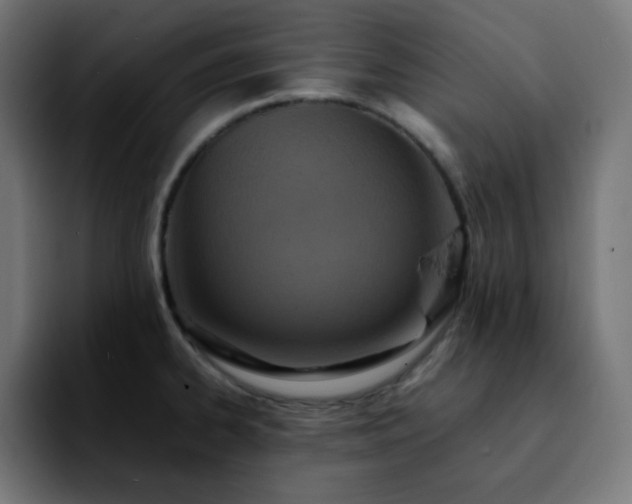 X0000092221334200709211001