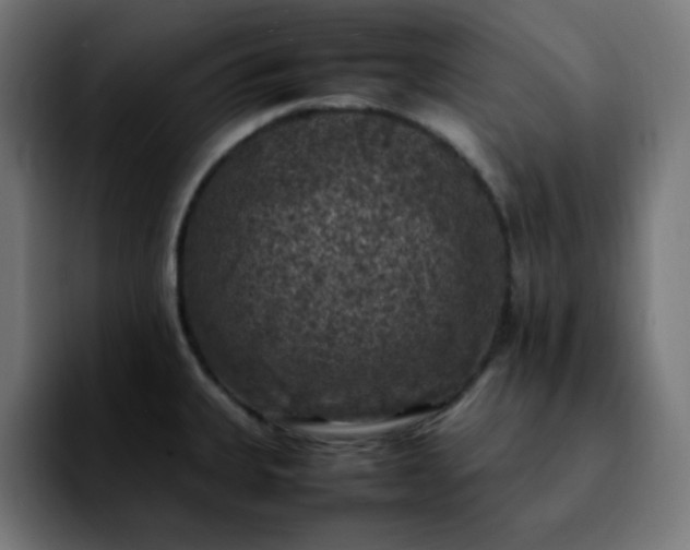 X0000092221335200709211001