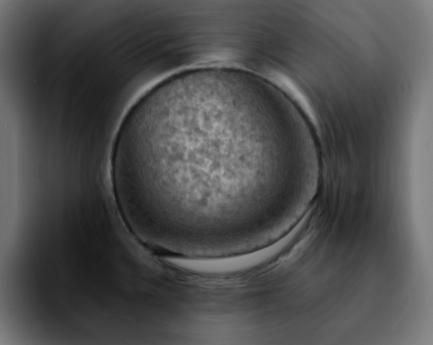 X0000092221336200709211001