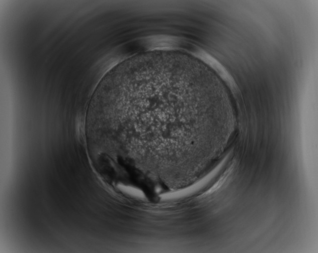 X0000092221337200709211001