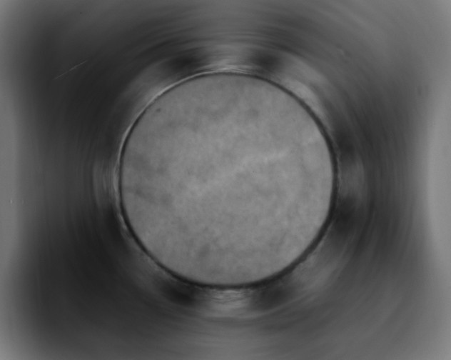 X0000092221338200709211001