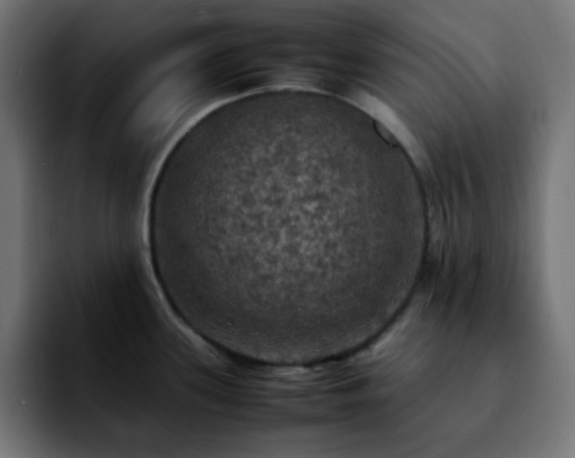 X0000092221339200709211001
