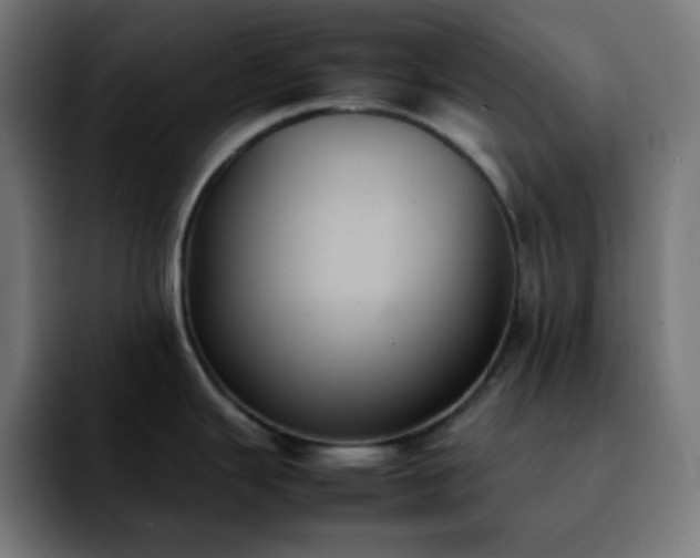 X0000092221343200709211001
