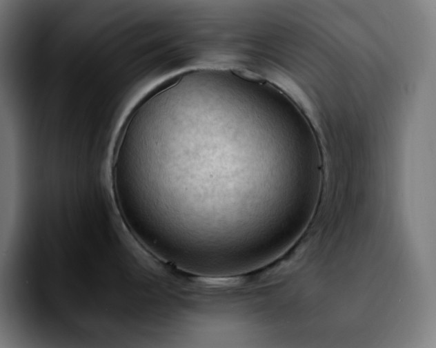 X0000092221344200709211001