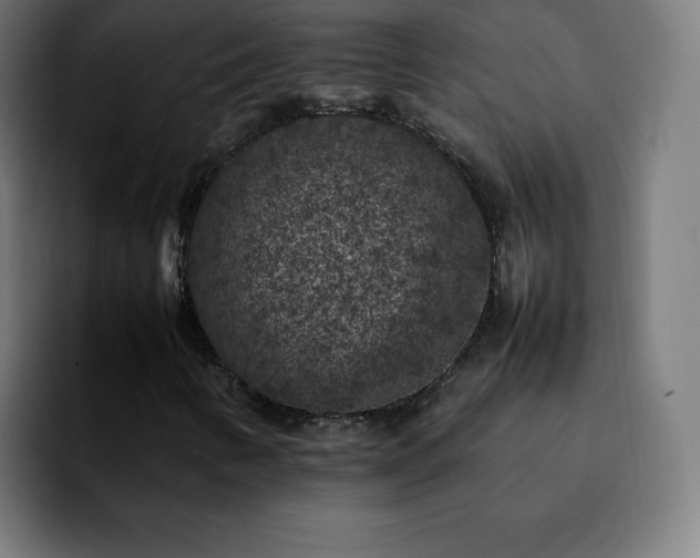 X0000092221346200709211000