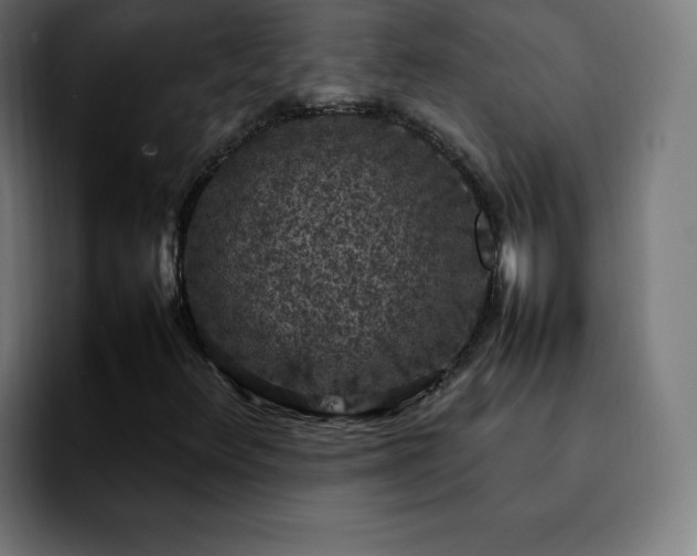 X0000092221348200709211000