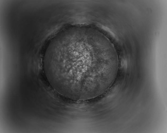X0000092221350200709211000
