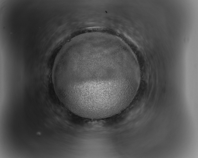X0000092221351200709211000