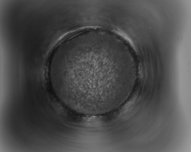 X0000092221352200709211000