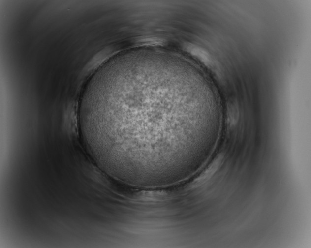 X0000092221354200709211000