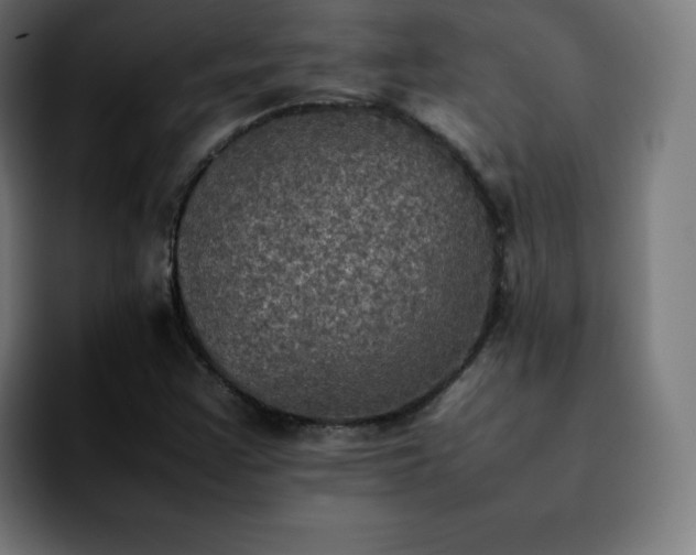 X0000092221355200709211000