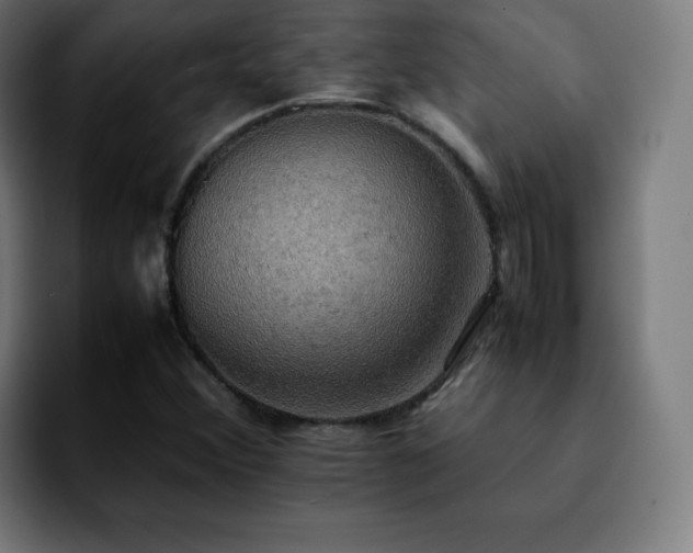 X0000092221356200709211000