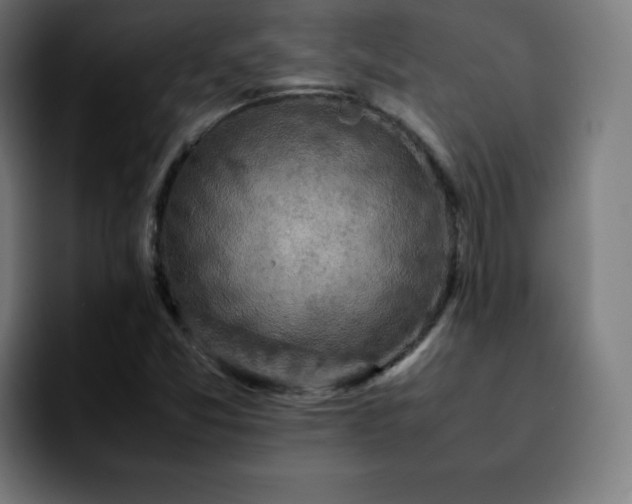 X0000092221357200709211000