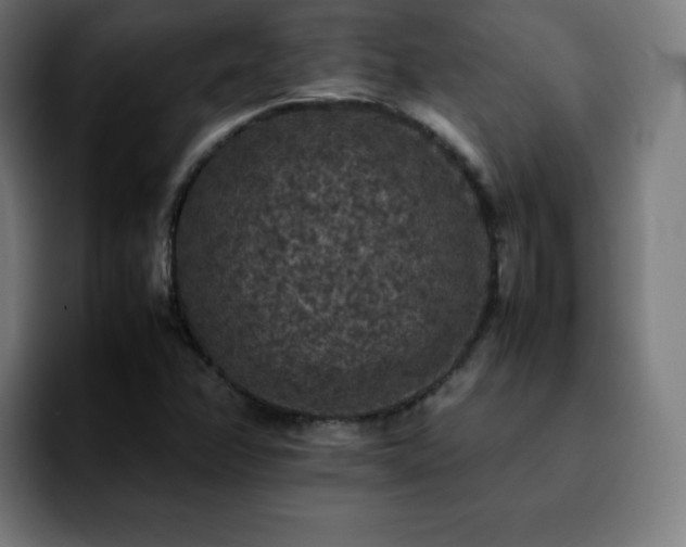 X0000092221358200709211000