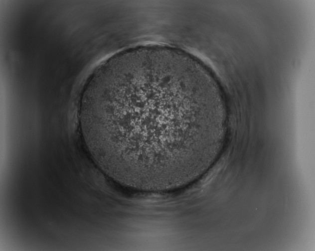X0000092221359200709211000