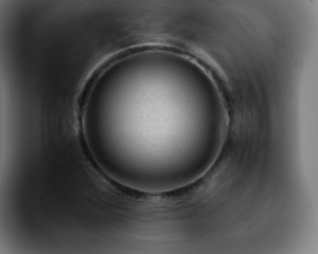 X0000092221360200709211000
