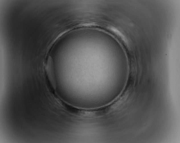 X0000092221361200709211000