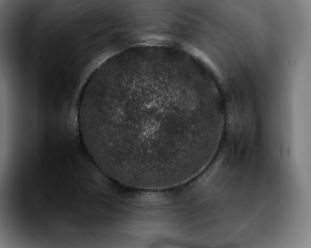 X0000092221362200709211000