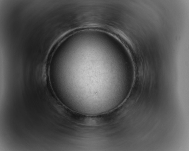X0000092221364200709211000