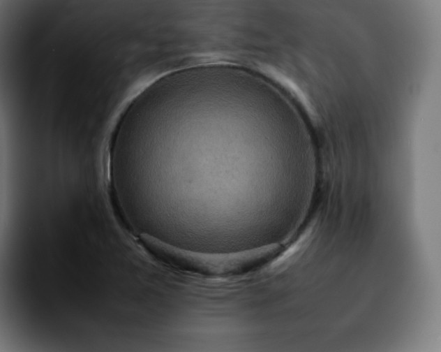 X0000092221365200709211000