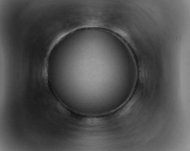 X0000092221366200709211000