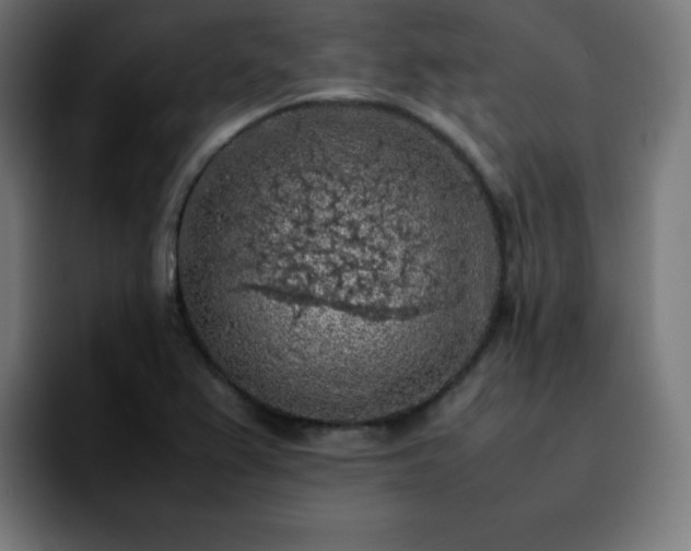 X0000092221367200709211000