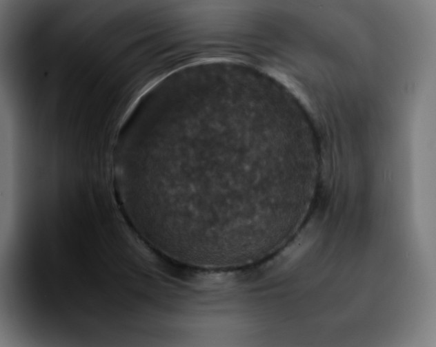 X0000092221369200709211000