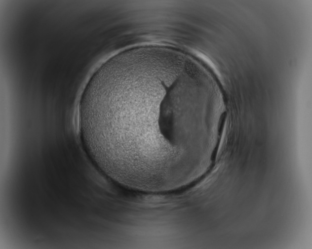 X0000092221371200709211000