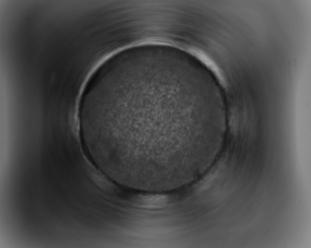 X0000092221372200709211000