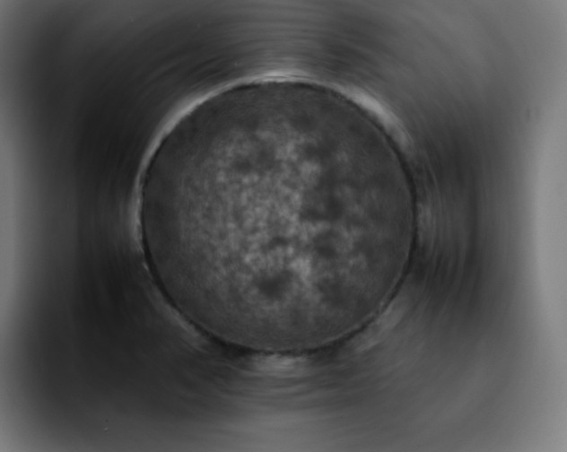 X0000092221374200709211000