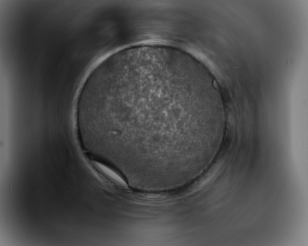 X0000092221375200709211000