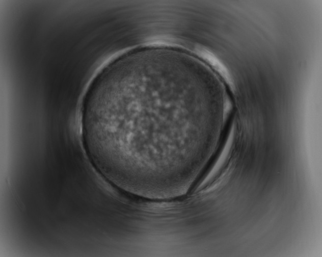 X0000092221376200709211000