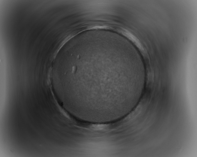 X0000092221377200709211000