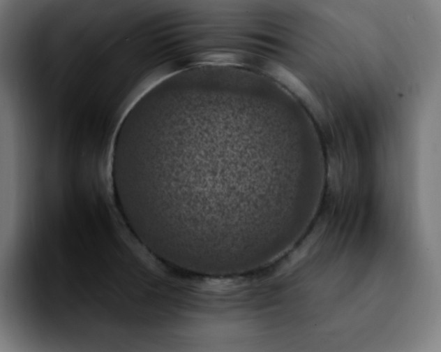 X0000092221378200709211000
