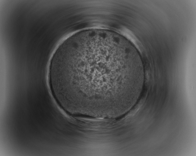 X0000092221379200709211000