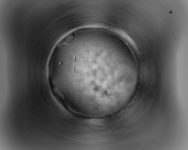 X0000092221380200709211000