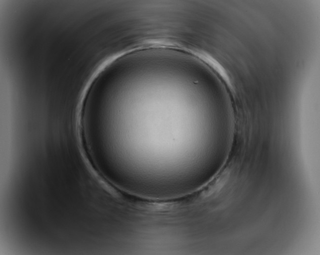 X0000092221381200709211000