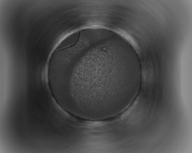 X0000092221382200709211000