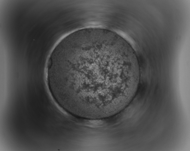 X0000092221383200709211000