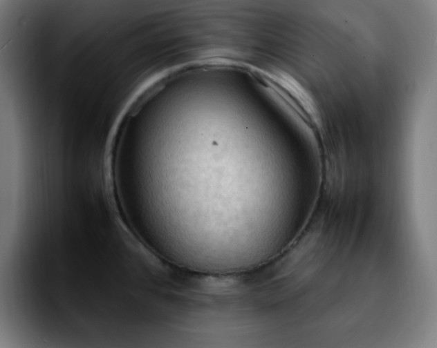 X0000092221384200709211000