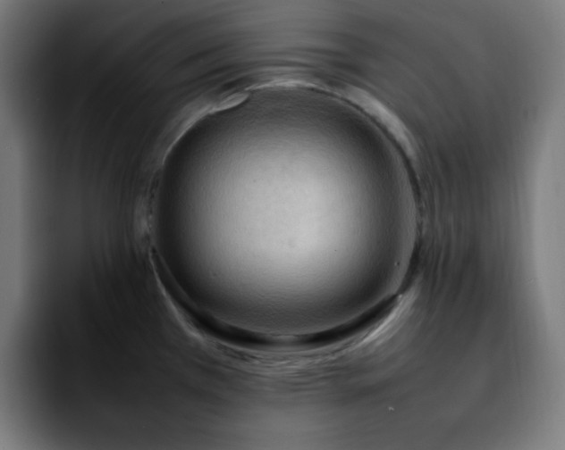 X0000092221385200709211000